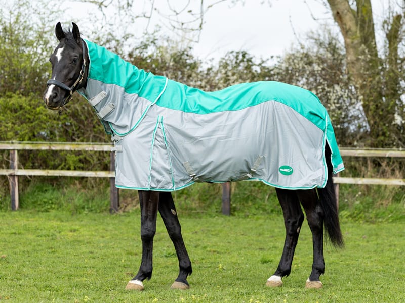 Horse Fly Rugs & Summer Sheets | Equicare Supplies - Fly Turnout Combination Rug (MESH) - Green