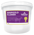 Marigold Flower - Global Herbs