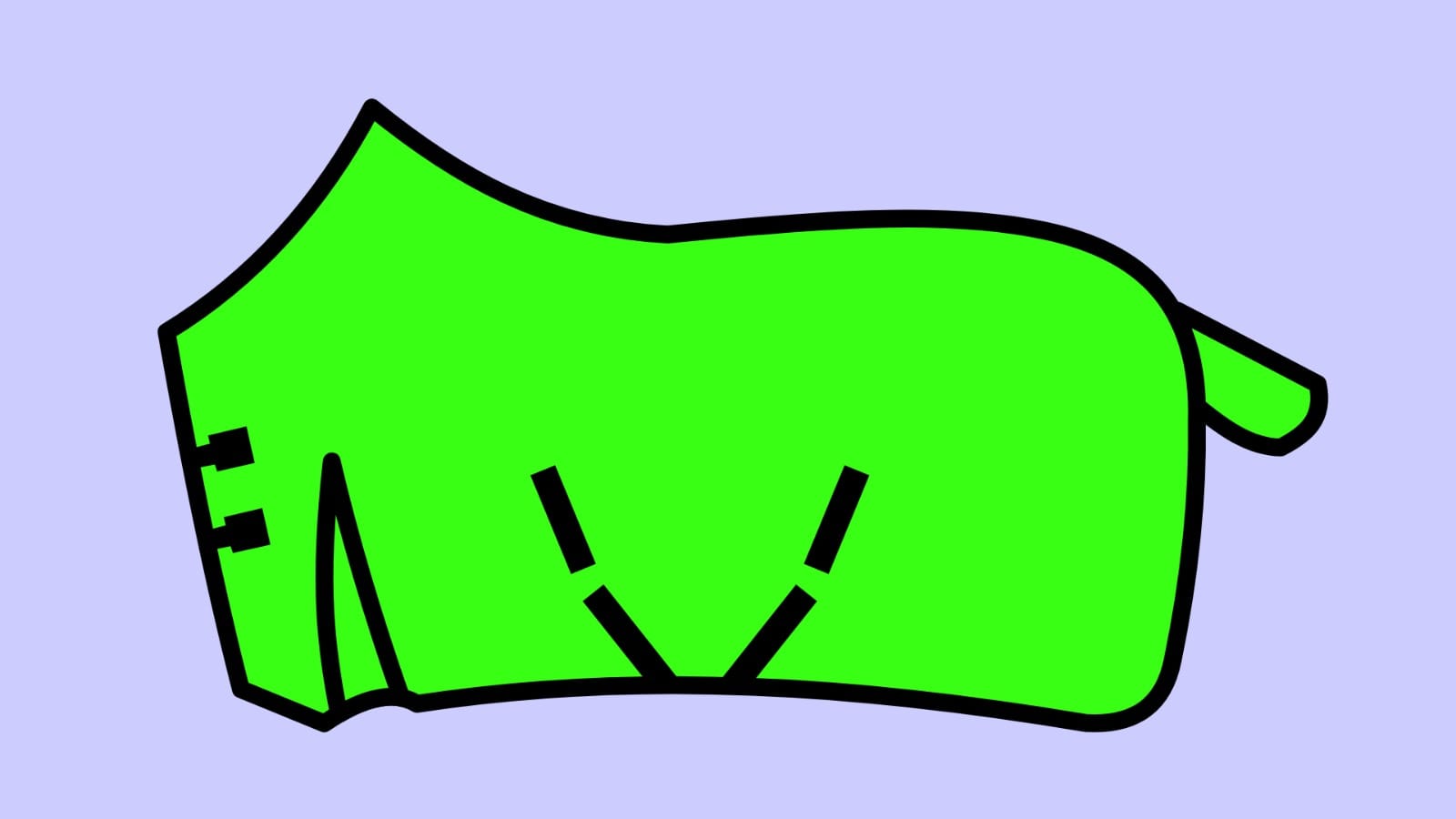 Lightweight Turnout rugs