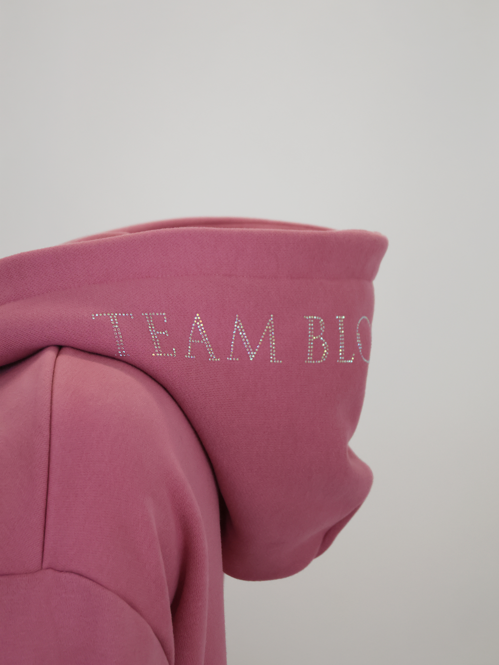 Kids Luna - Rhinestone Logo Hoodie in Dusty Rose