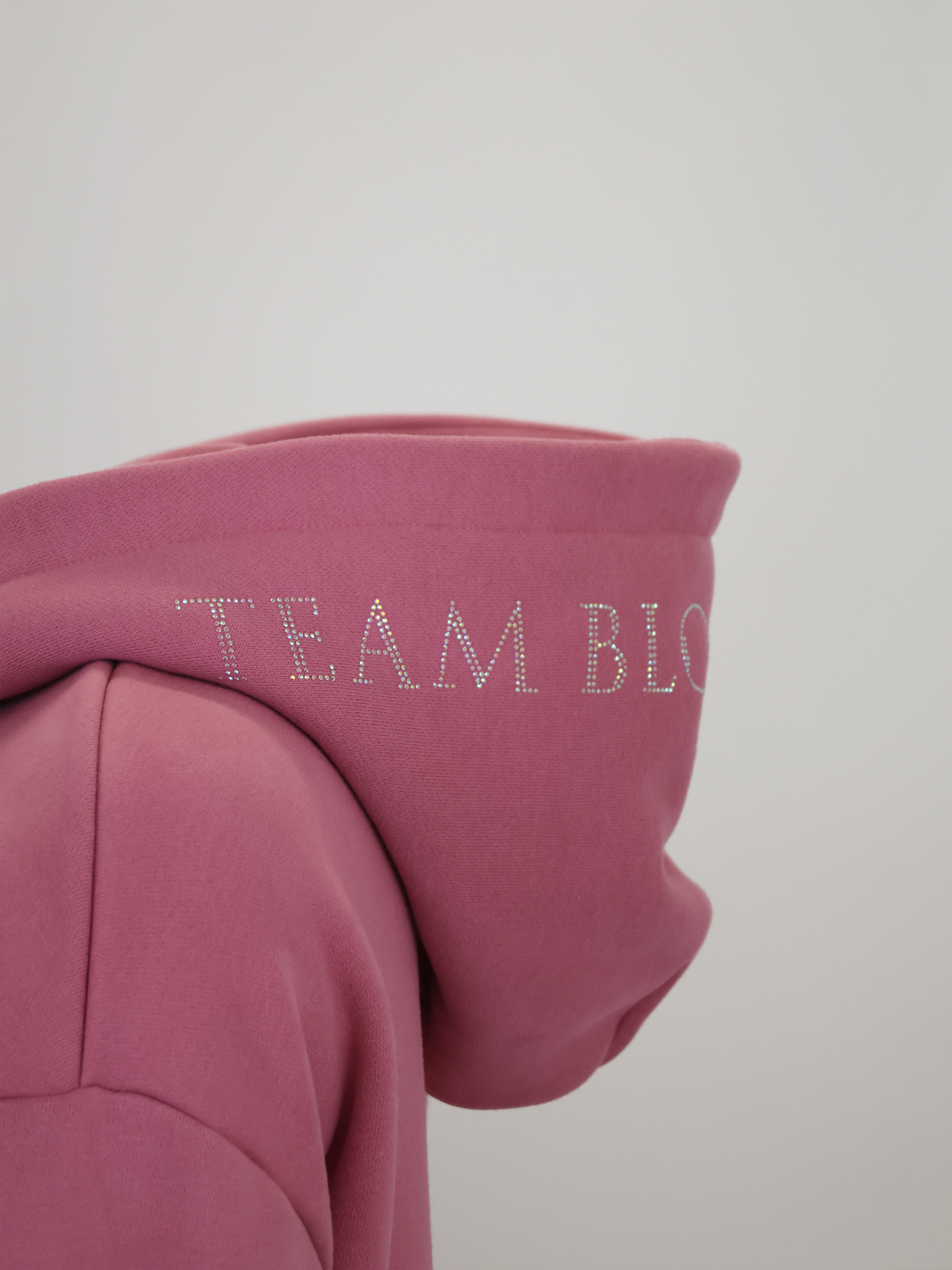 Kids Luna - Rhinestone Logo Hoodie in Dusty Rose