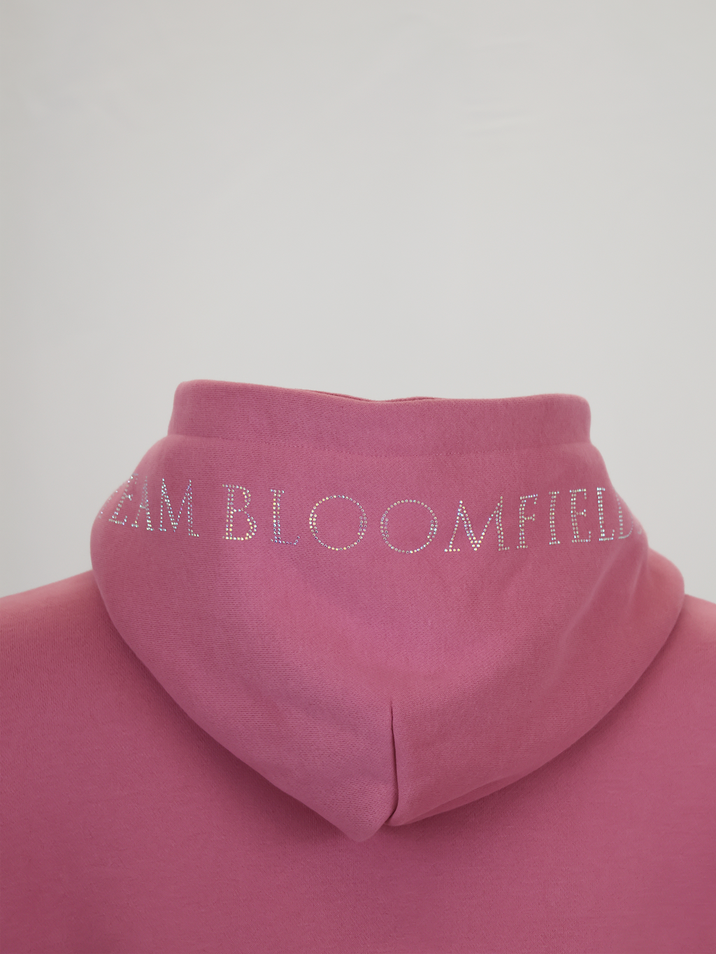 Kids Luna - Rhinestone Logo Hoodie in Dusty Rose