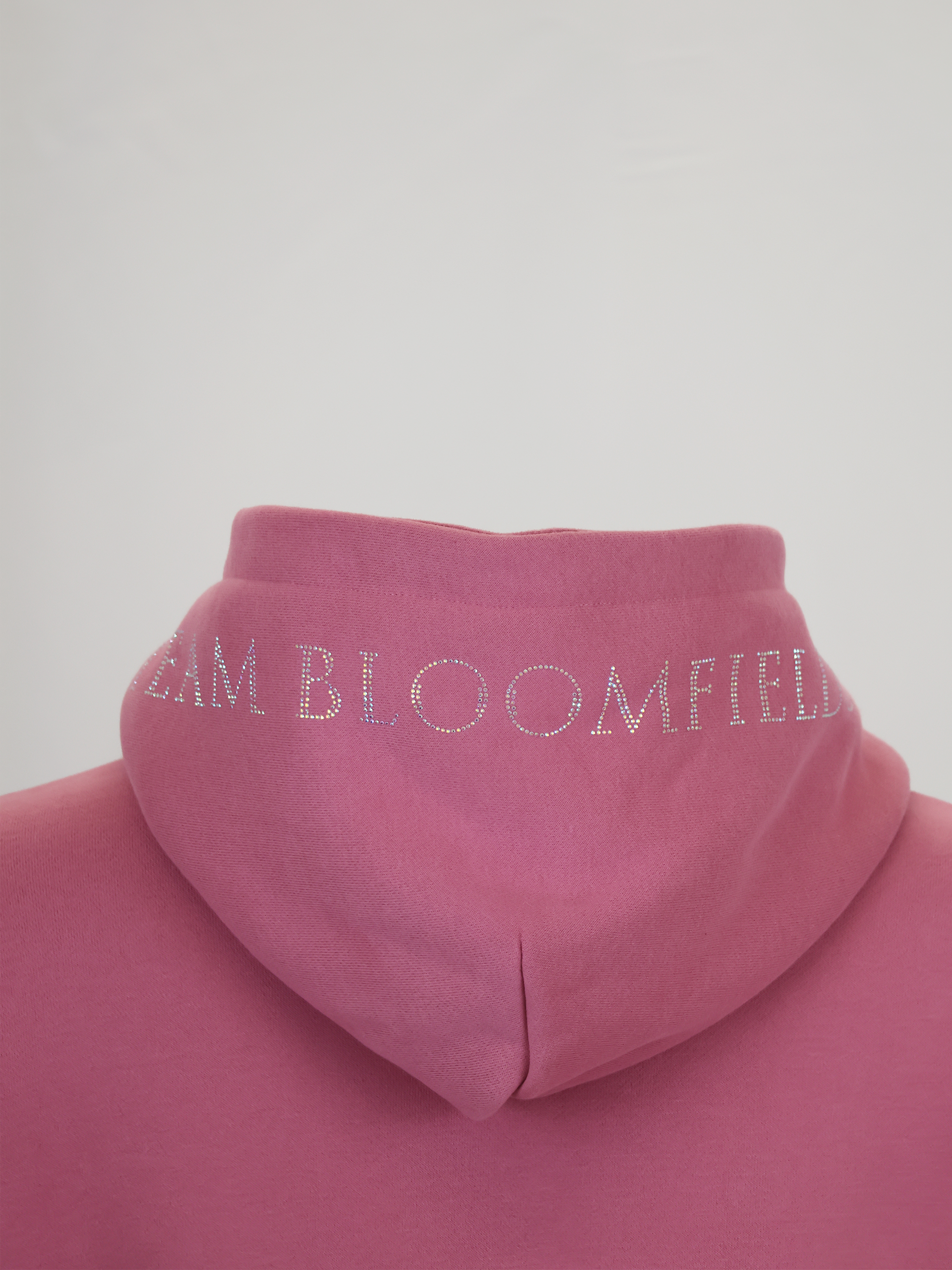 Kids Luna - Rhinestone Logo Hoodie in Dusty Rose