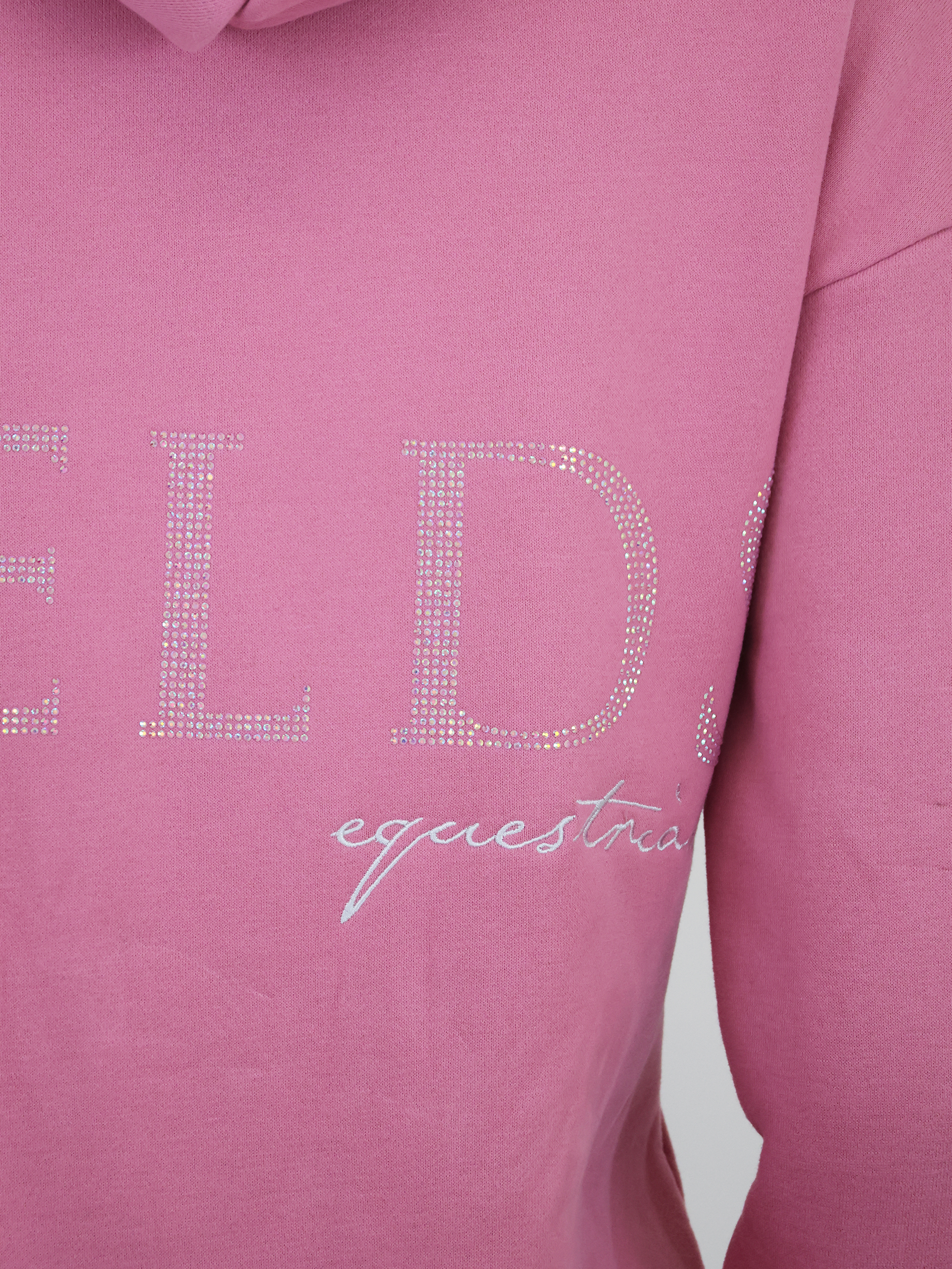 Kids Luna - Rhinestone Logo Hoodie in Dusty Rose