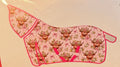 Pink Highland cow PRE ORDER