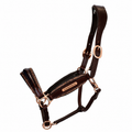 Brown & Gold Glitter Leather Headcollar