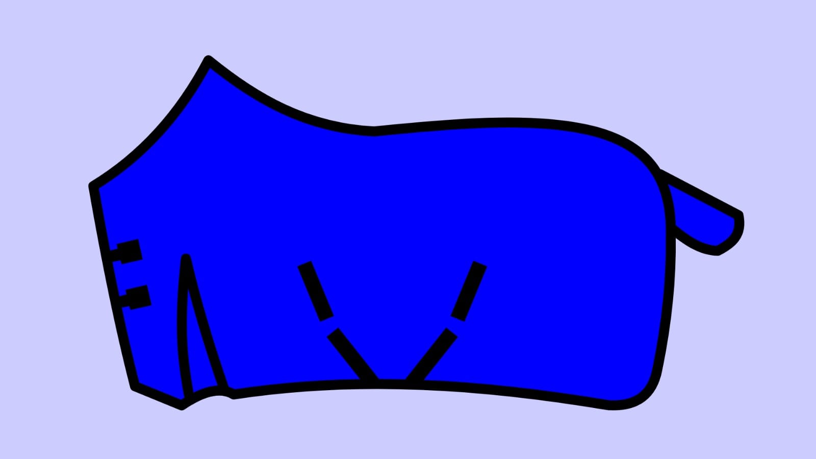 Lightweight Turnout rugs
