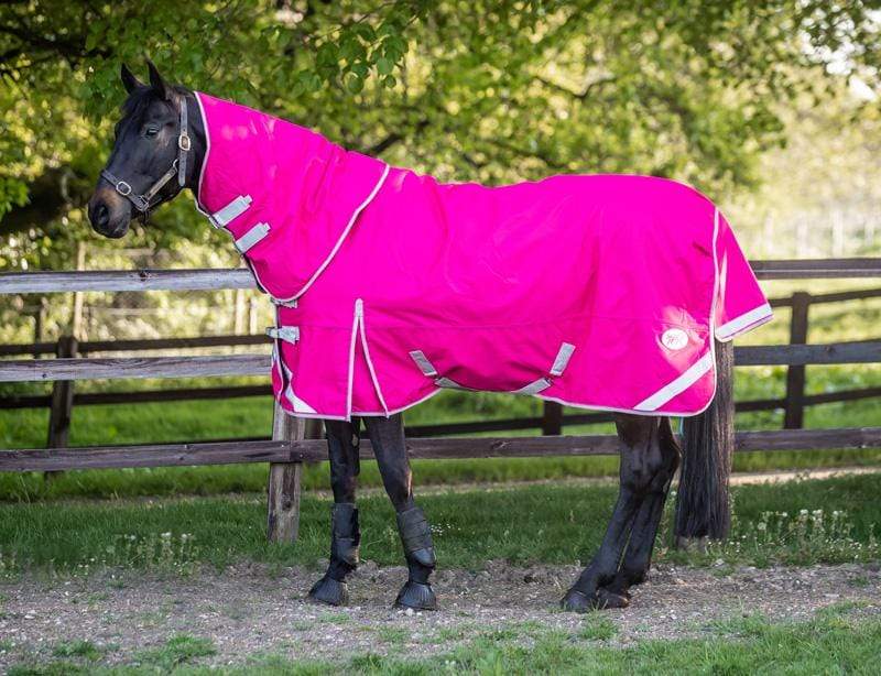 200g Detachable Neck Turnout Rug - Pink
