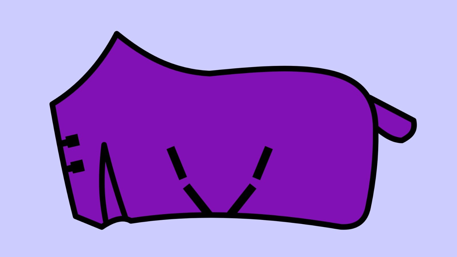 Lightweight Turnout rugs