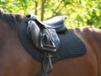 Orange Close Contact GP Saddle Pad | Pony & Full
