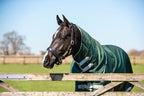300g Detachable Neck Turnout Rug - Hunter Green