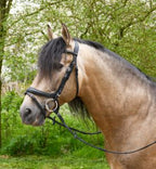 Heritage Saddlery Anatomical Flash Bridle | Crystal Browband | Soft Leather