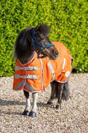 MINI 50g Turnout Rug - Orange