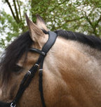 Heritage Saddlery Anatomical Flash Bridle | Crystal Browband | Soft Leather