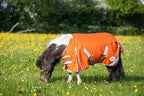 MINI 50g Turnout Rug - Orange