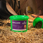 Psyllium 1kg - Global Herbs