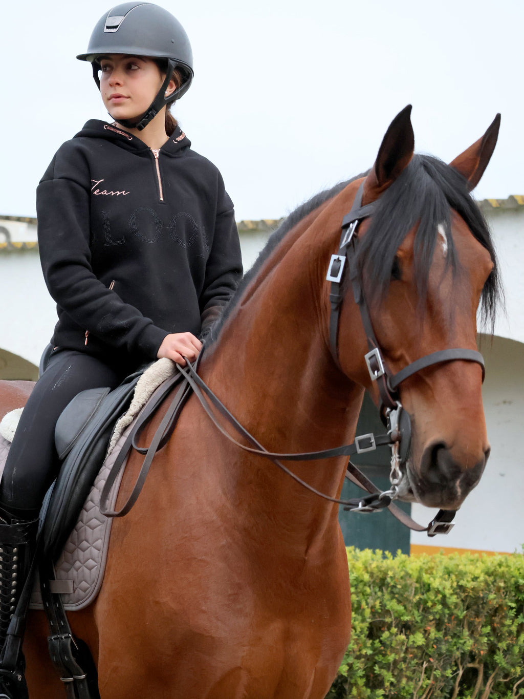 Luna - Rhinestone Logo Hoodie in Black & Rose Gold