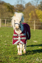 MINI 0g Turnout Rug - Burgundy