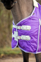 Mini 100g Stable Rug - Purple