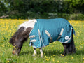 MINI 0g Turnout Rug - Turquoise