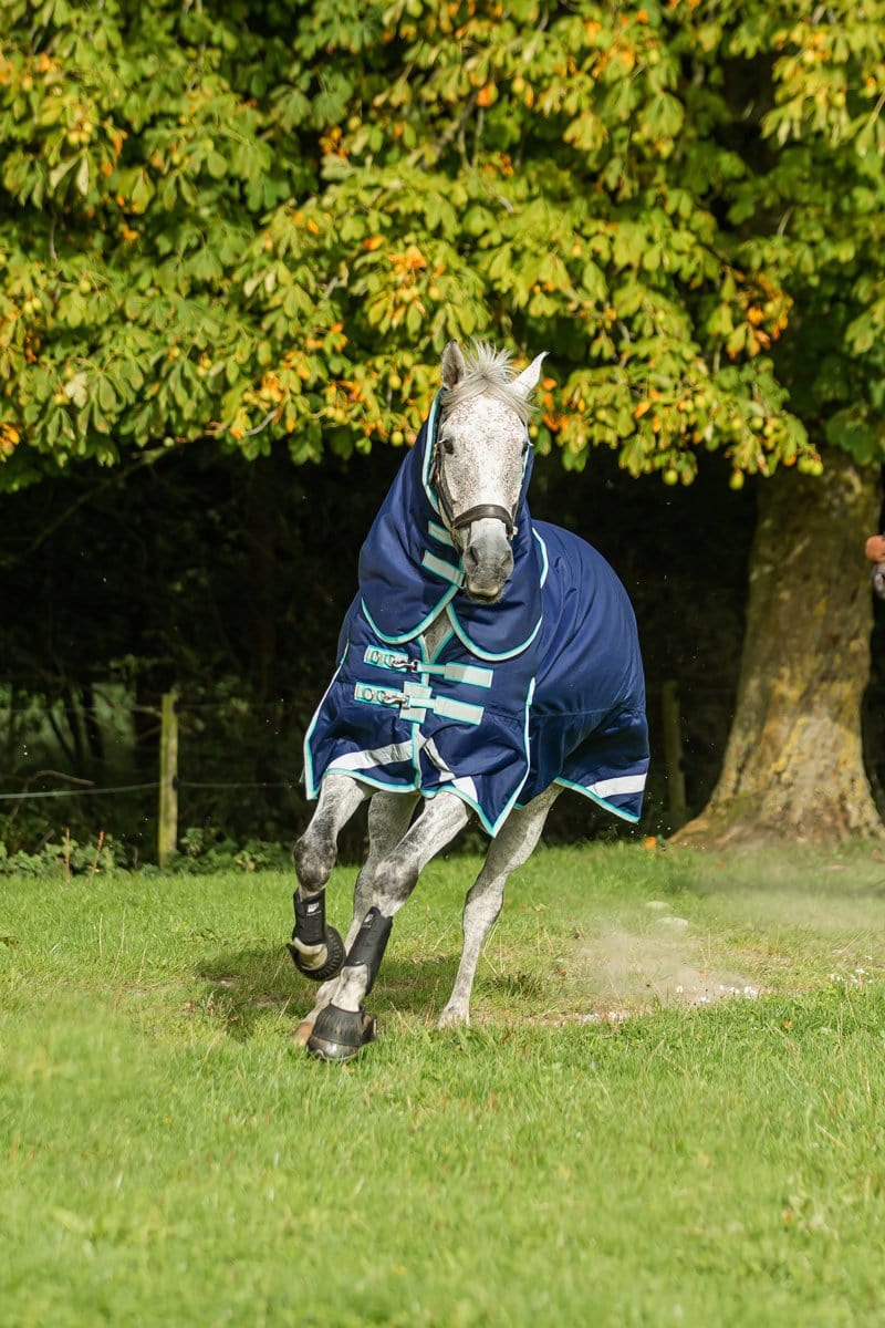 100g Detachable Neck Turnout Rug - Navy