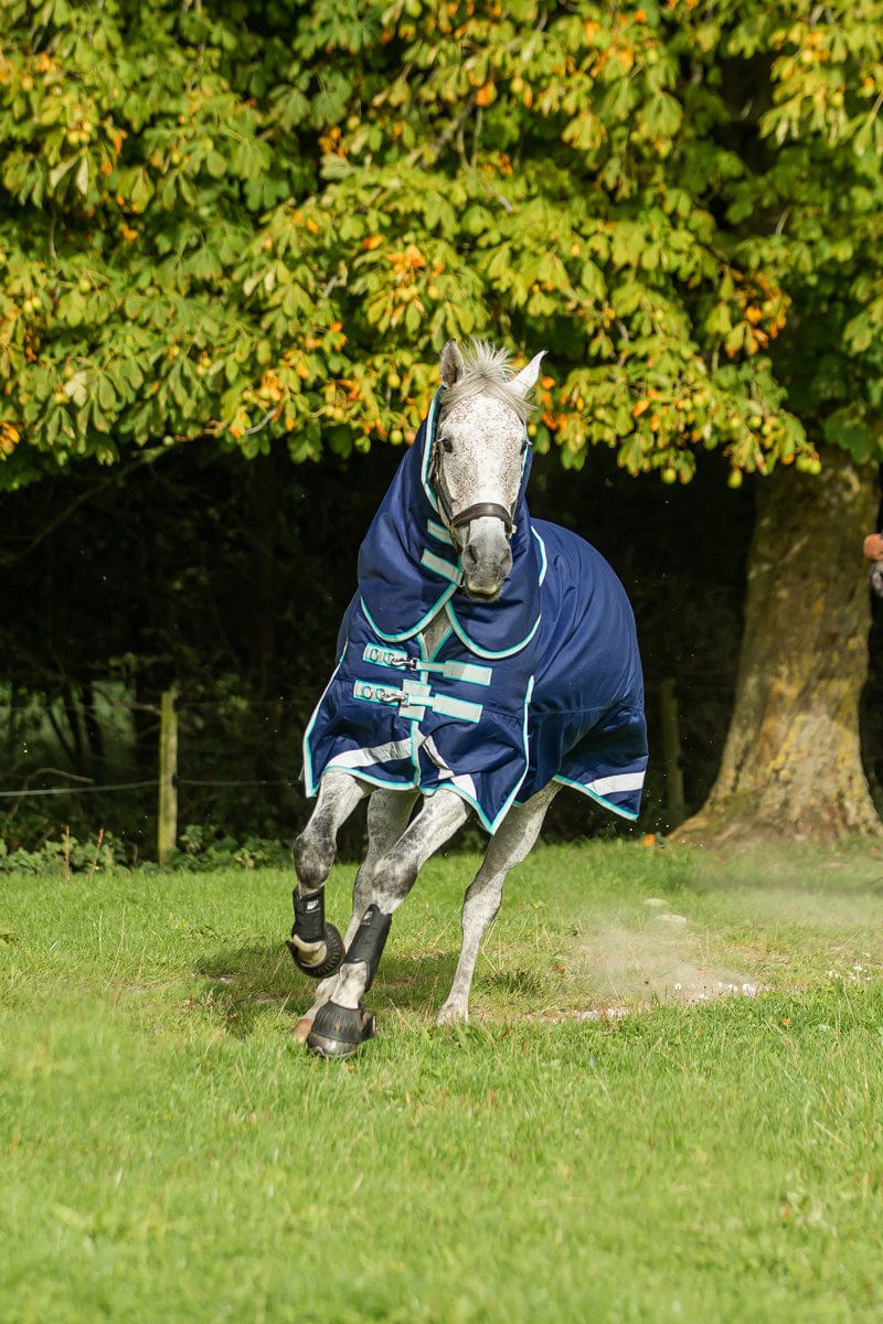 0g Detachable Neck Turnout Rug - Navy