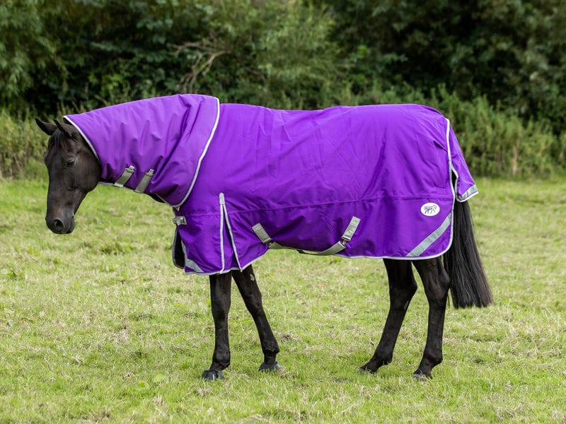 360g Turnout Rug With Detachable Neck - Purple