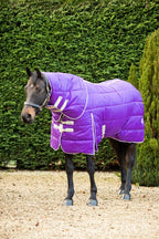 200g Stable Rug With Detachable Neck - Purple