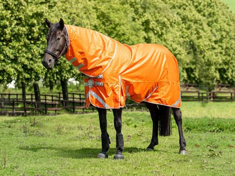 50g Detachable Neck Turnout Rug - Orange