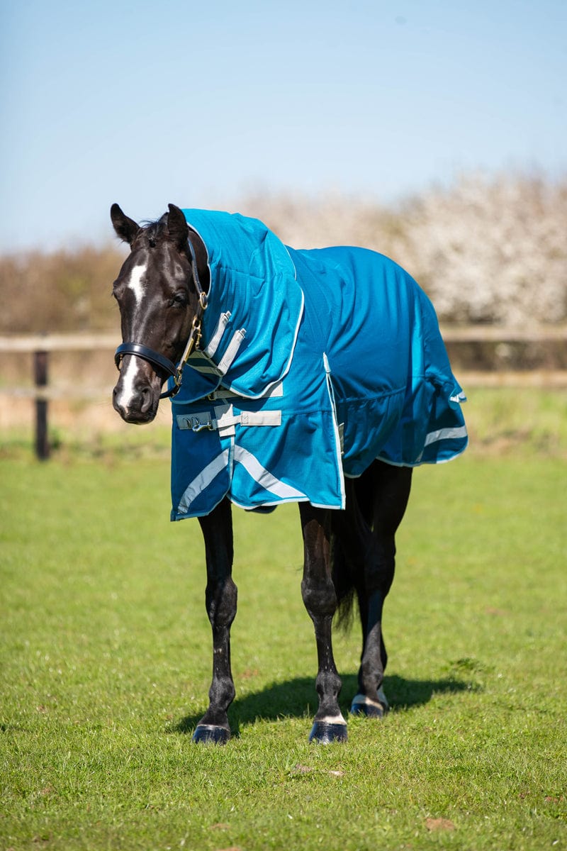 300g Turnout Rug With Detachable Neck - Turquoise