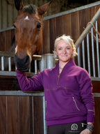 Vanessa V Neck Top In Plum